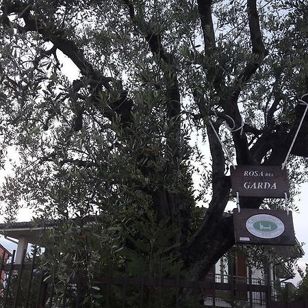 B&B Rosa Del Garda Lazise Dış mekan fotoğraf
