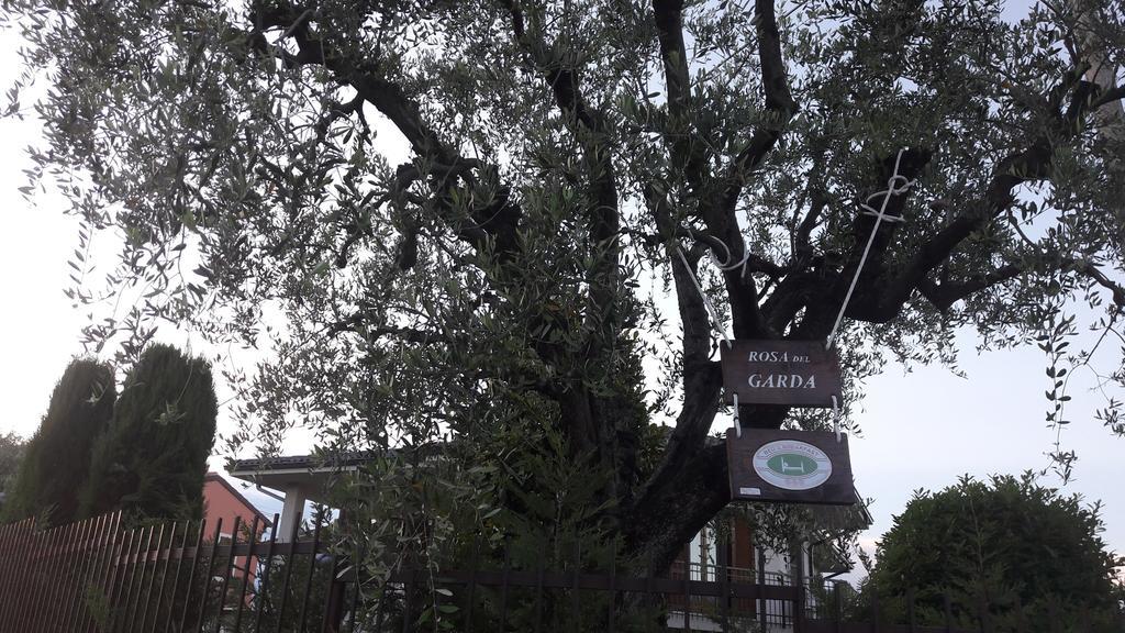 B&B Rosa Del Garda Lazise Dış mekan fotoğraf